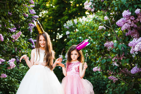 The sisters play princesses.の写真素材