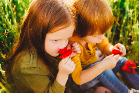 Little red-haired children are sitting in a poppy field.の写真素材