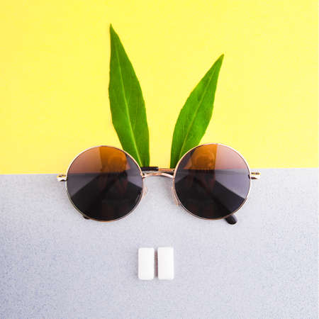 A rabbit made with glasses, a pair of chewing gum and green, elongated leaves. Flat lay minimal concept.の写真素材