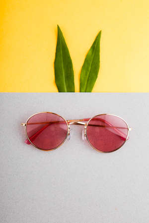 A rabbit made with glasses, a pair of chewing gum and green, elongated leaves. Flat lay minimal concept.の写真素材