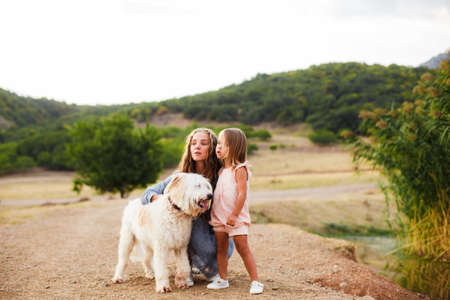 A family with a large dog and a small child in the mountains. View from the back. Space for text.の写真素材