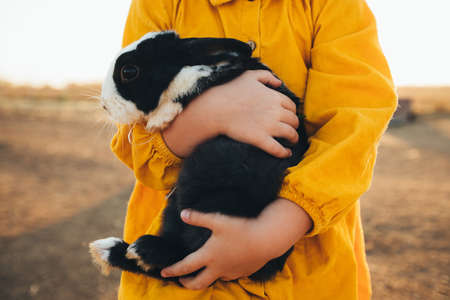 Little girl playing with the rabbits in the petting zoo. Easter tradition of visiting a rabbit.の写真素材
