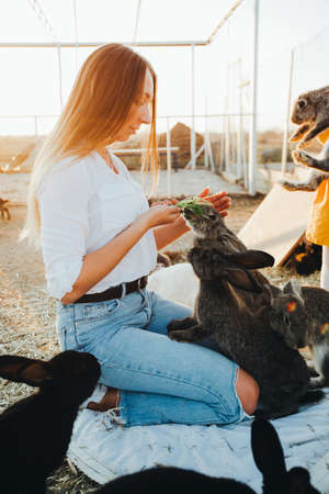 A young woman feeds and strokes rabbits in a petting zoo.の写真素材