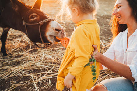 Mom and daughter feed and pet a donkey in a contact zoo.