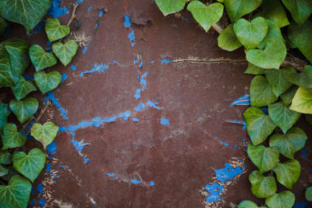 Green leaf texture. Leaf texture background