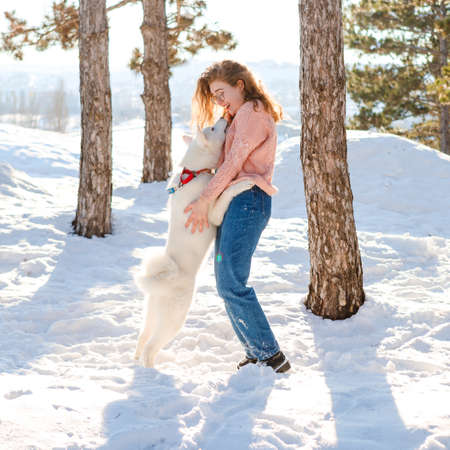 A curly-haired girl walks with a white akita in a snowy forest.の写真素材
