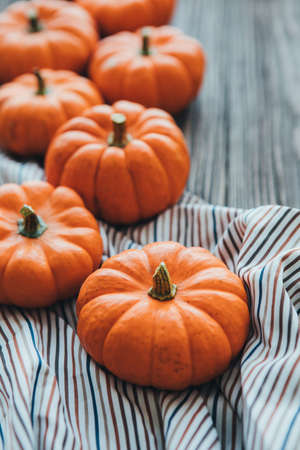 Autumn composition of miniature decorative pumpkins on a wooden table.の写真素材