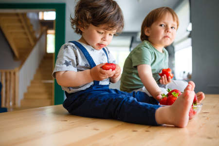 Little brothers eat strawberries are sitting on a wooden table in the kitchen.の写真素材