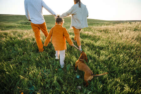 A hipster family walks in a summer field.の写真素材