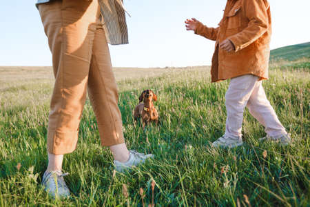 A hipster family walks in a summer field.の写真素材