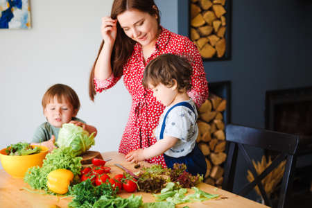 Mom and sons are cook vegetarian food in a stylish kitchen.の写真素材