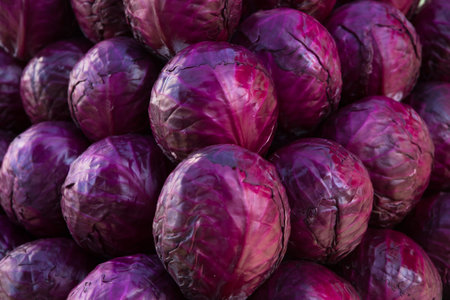 Red cabbage close-up on the farmers market. high quality photoの写真素材
