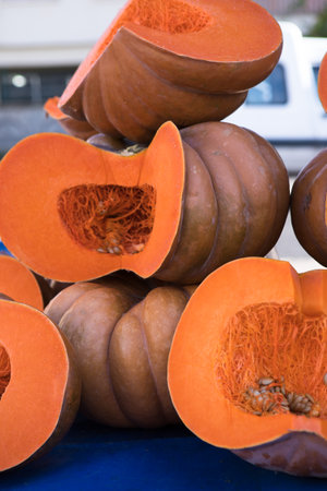 Slice of a large long pumpkin. autumn vegetable. high quality photoの写真素材