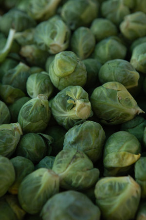 Fresh green brussels sprout.backgroundの写真素材