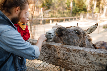 Dad and child interact with donkeys at the zoo. contact zoo.