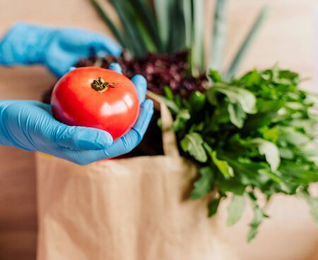 a female hand in a blue rubber glove holds a red tomato, in the background in a paper bag there are still vegetables and greens. cleanliness after going to the marketの写真素材
