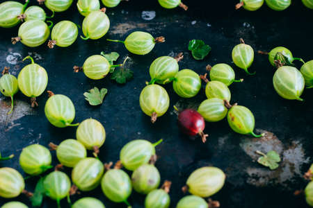 A scattering of gooseberry on a metal tray, backgroundの写真素材