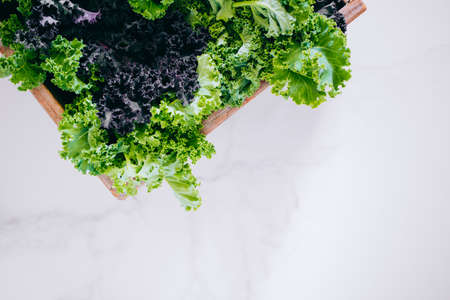 Fresh green and purple kale in a wooden box on a marble background, copy spaceの写真素材