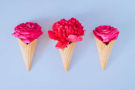 Ice Cream Cones with pink peony and roses on blue background, flat lay, minimalismの写真素材
