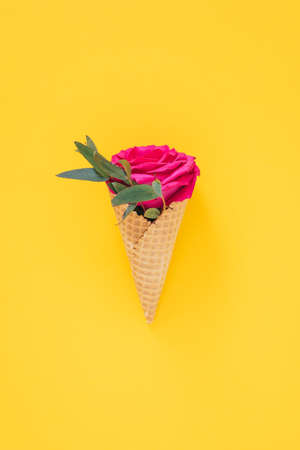 Flat lay Ice Cream Cone with pink rose on yellow background, copy spaceの写真素材