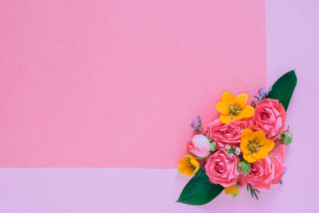 Flat lay colorful flowers composition on bright paper background, clean blank for text, copy spaceの写真素材