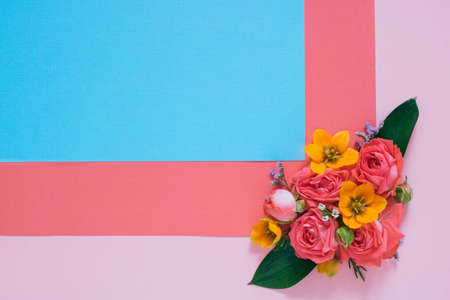 Flat lay colorful flowers composition on bright paper background, clean blank for text, copy spaceの写真素材