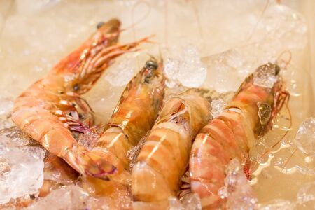 Red king prawns on the ice dish , kooora sold in the fish market near the sea
