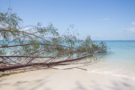 Tropical beach white sand thailandの写真素材