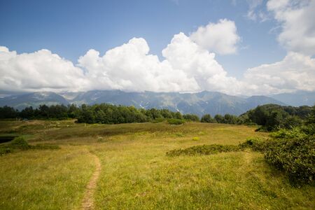Summer Alpine Landscape, mountain lake, green hills.の写真素材