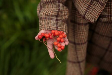 A little cheerful girl with Rowan berries on her head in a brown costume.の写真素材