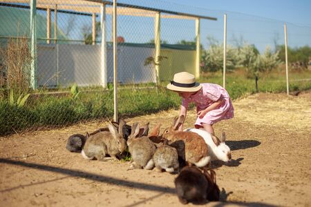 Little girl playing with rabbits on a sunny summer or spring day at sunset.の写真素材