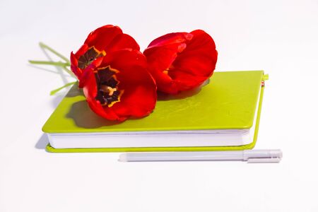 Red tulip flowers are on the white table and diary with pen top viewの写真素材