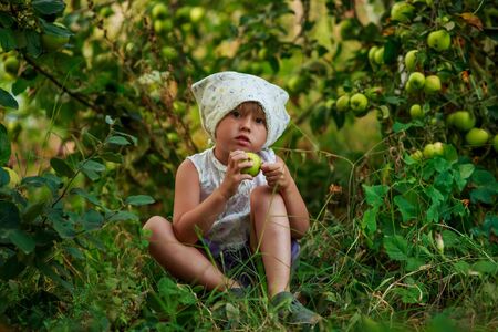 Portrait young girl eating apple in the garden.の写真素材