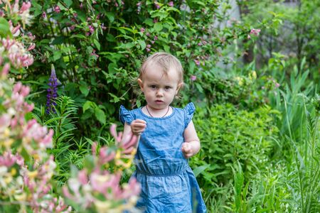 Beautiful little cute blond girl sniffing flowers in the garden.の写真素材