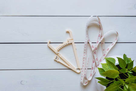 Plan to lose weight, go on a diet. Accessories for measuring weight, parametersの写真素材