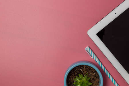 School supplies. Top view on a pink background with copy space.の写真素材