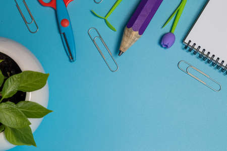 School supplies. Top view on a blue background with copy space.の写真素材
