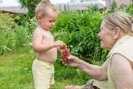Grandmother treats her grandson with strawberries in her country house garden,の写真素材
