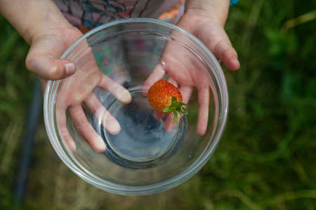 a Young Girl Holding plate with Strawberriesの写真素材
