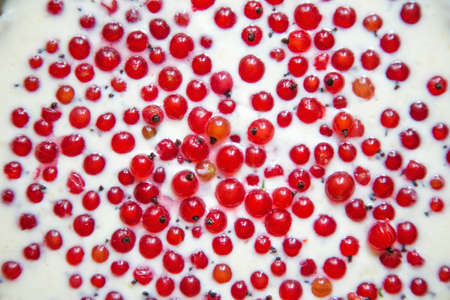 Appetizing homemade berry pie..Red currant and.sour cream pie before sending to the oven. Cooking stage. Closeup top view.の写真素材