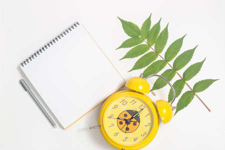 White paper blank and white whalnut leaf on gray background.の写真素材