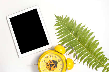 White tablet and white whalnut leaf on gray background.