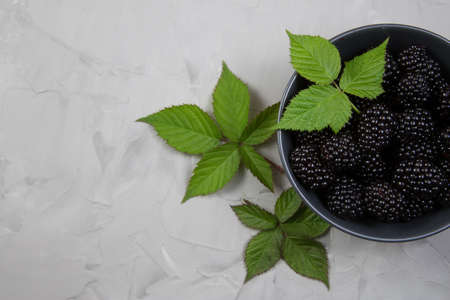 Ripe sweet blackberry on gray concrete background. Copy spaceの写真素材