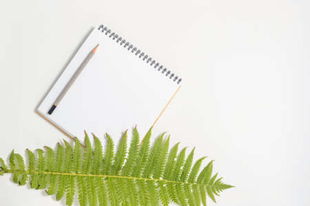 White paper blank and fern leaf on gray background. Flat lay, top view, copy space.の写真素材