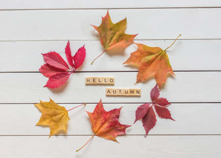 Autumn layout with multicolored fallen leaves and hello autumn lettering on wooden background