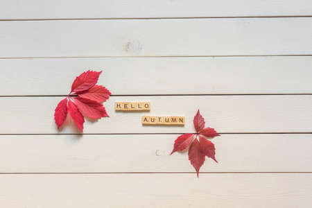 Autumn flat lay with multicolored fallen leaves and hello autumn lettering on wooden backgroundの写真素材