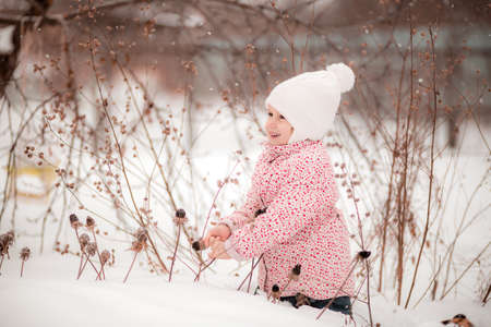 A little girl sits in the snow and picks dried plants on sunny winter day.の写真素材
