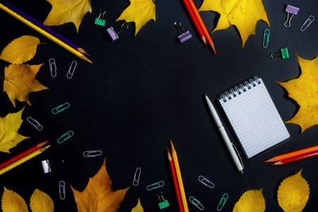 .Autumn fallen foliage and stationery on black backgroundの写真素材