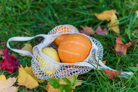 Pumpkins in reusable shopping eco-frendly mesh bag on autumn fallen leaves background.の写真素材