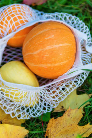 Pumpkins in reusable shopping eco-frendly mesh bag on autumn fallen leaves background.の写真素材